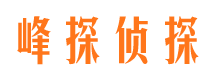 富川市调查公司